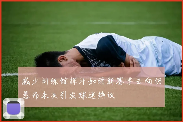威少训练馆挥汗如雨新赛季去向仍悬而未决引发球迷热议