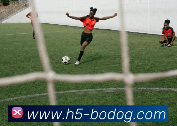 App Interface Preview