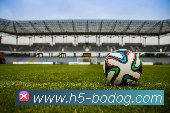 博狗娱乐APP 封面图